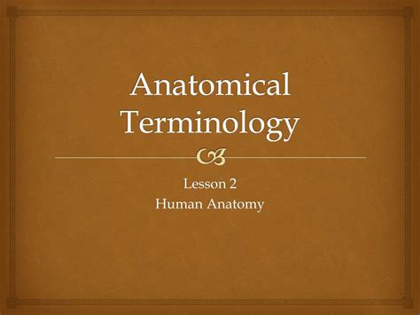 Toradh íomhá ar Anatomical Study Guide PDF