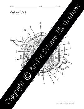 Computer Science Diagram Term ಗಾಗಿ ಇಮೇಜ್ ಫಲಿತಾಂಶ