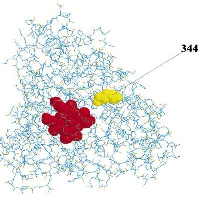 Afbeeldingsresultaten voor Computer Graphical Representation