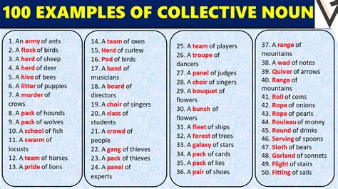 Image result for Collective Nouns Examples