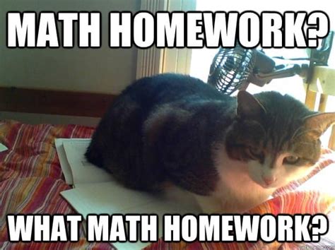 45 Funny Math Memes We Can All Relate To | SayingImages.com