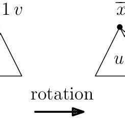 Tree Rotation に対する画像結果