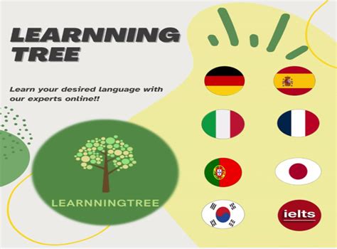 Image result for How to Learn Basic Language