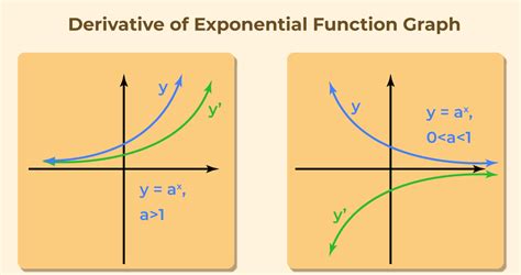 Image result for Derivative Curve Graph Exponential Function