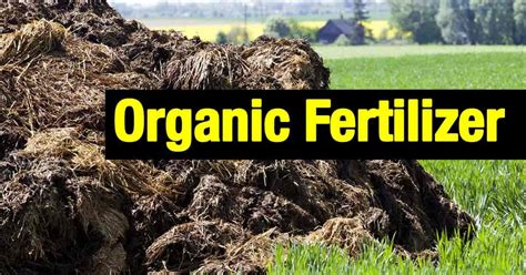 Image result for Organic Fertilizer Examples