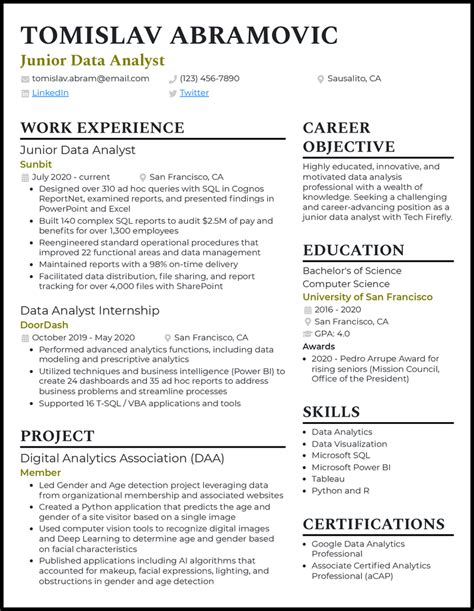 Image result for Data Analyst Resume PDF