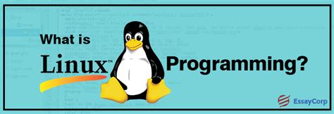 Image result for Linux OS Programming