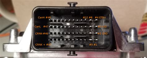 Delphi Function-এর ছবি ফলাফল