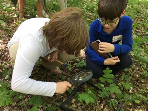 Image result for Child Problem Solving