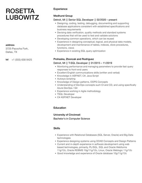 SQL Developer Job Resume に対する画像結果