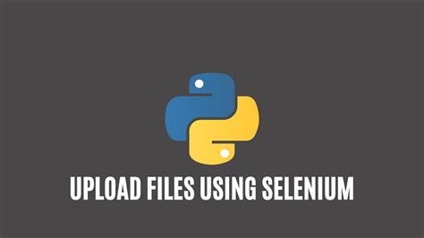 Python Selenium Input File に対する画像結果
