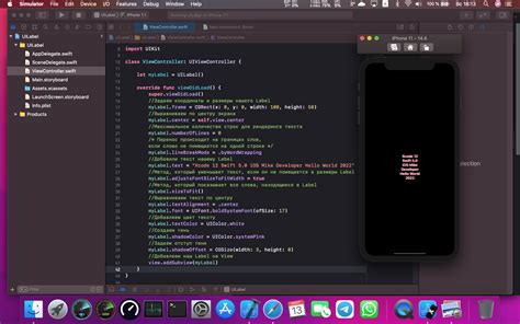 Image result for Visual Studio Community UILabel