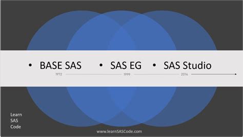 Image result for SAS Program Interface