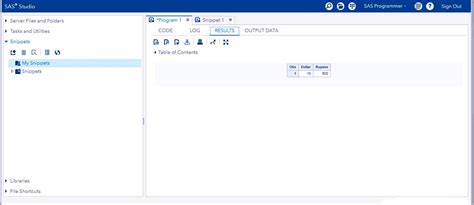 Image result for SAS Programming Language Finance