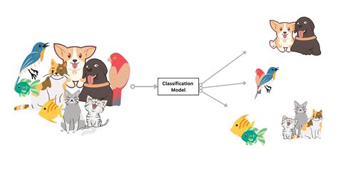 Types of Classification in Ml Example Code に対する画像結果