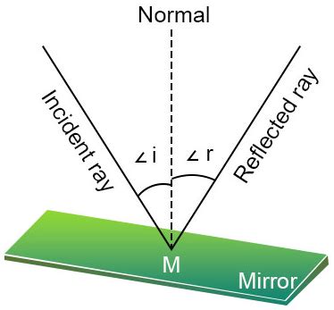 Image result for Normal Reflection