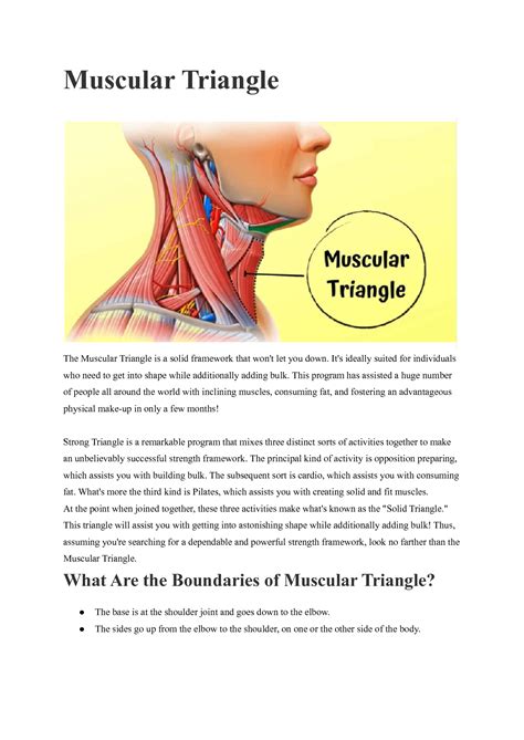 Image result for Learning Triangle Anatomy