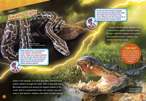 Image result for Alligator vs Python