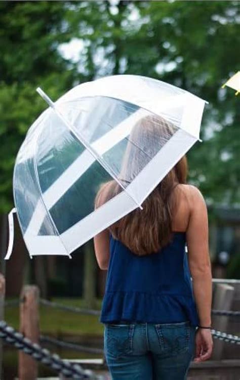 Spring Rain Borders に対する画像結果