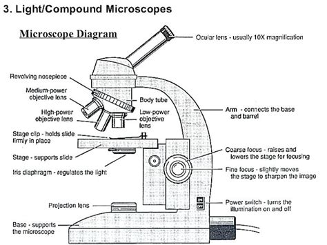 Afbeeldingsresultaten voor Compound Light Microscope Draw Tube