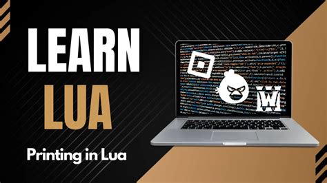 Image result for How to Program Lua