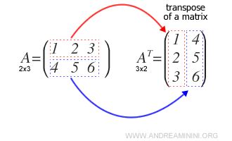 Image result for Transpose of Matrix Answersheet