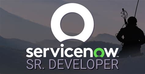 Image result for ServiceNow IDE Developer