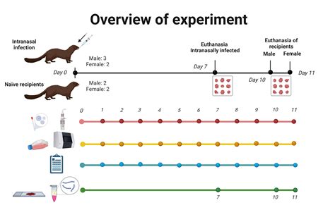 Image result for Example of a Graph for a Science Experiment