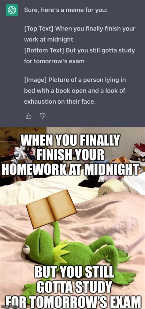 Toradh íomhá ar Pro Homework Memes