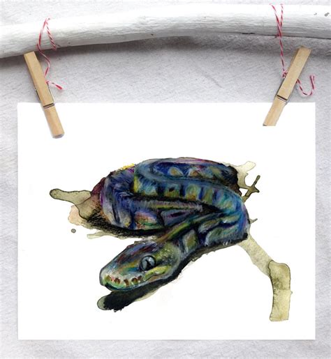 Image result for Graffiti Ball Python