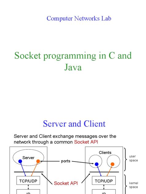 Programming Socket Adapter に対する画像結果