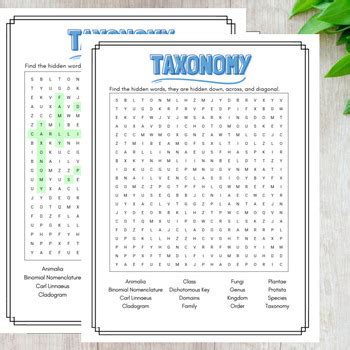 Image result for Classification Word Search