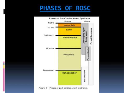 Rosc Algorithm に対する画像結果
