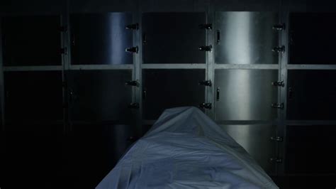 Image result for Alien Autopsy Toy