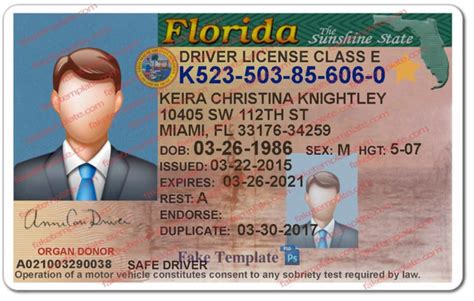Image result for Florida DMV License Check