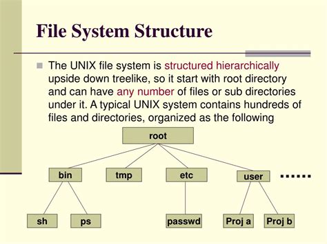 Image result for Structure of File Path