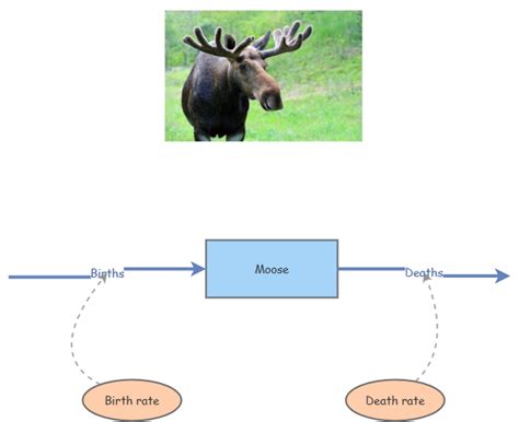 Image result for Cat Exponential Growth Function Model