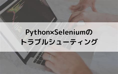 Selenium Python Example に対する画像結果