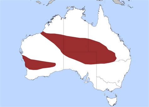 Woma Python - Facts, Diet, Habitat & Pictures on Animalia.bio