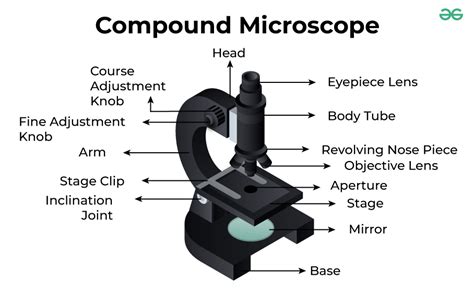 Image result for Compound Microscope Stage