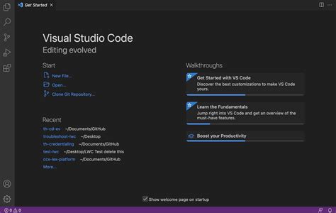 Image result for Visual Studio License Page On Visual Studio