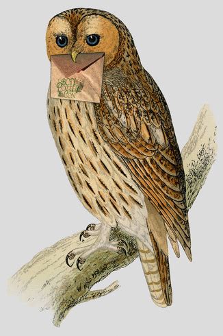 Bildergebnis für Fe Star Script Da Hood