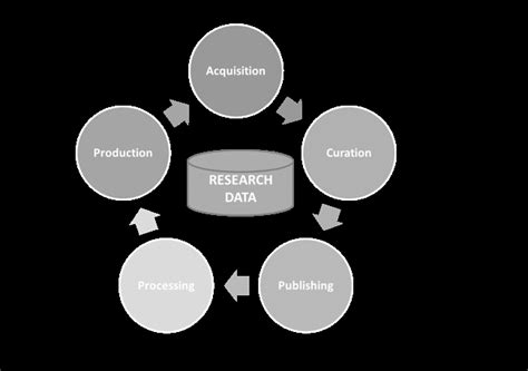 Data Management Workflow に対する画像結果