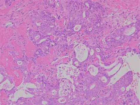 Afbeeldingsresultaten voor Nikon Eclipse UI Eu