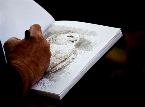 Image result for Drawing Front Lines