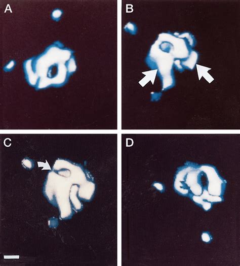 Afbeeldingsresultaten voor Computer Graphical Representation