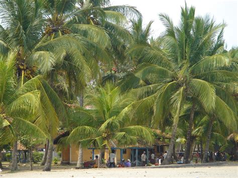 Image result for Java Indonesie