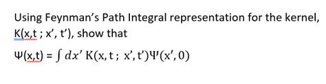 Image result for Feynman Path Integral Equation