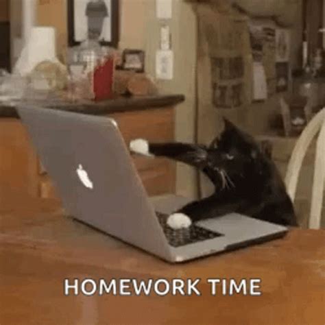Image result for Kid Doing Homework Meme