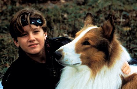 Image result for Animal Dog Movies